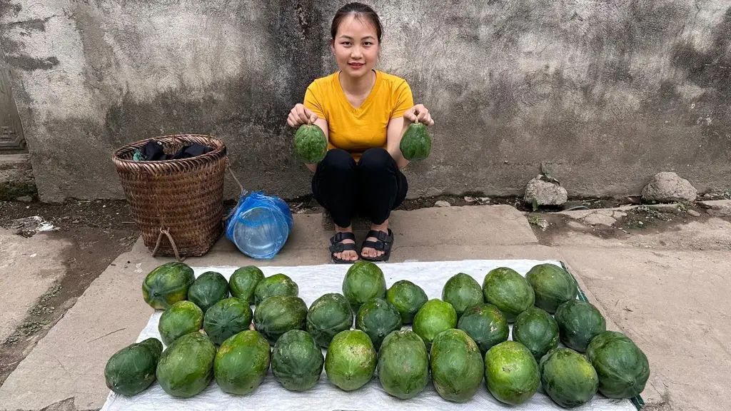 Seorang pembeli sedang memilih pepaya di pasar