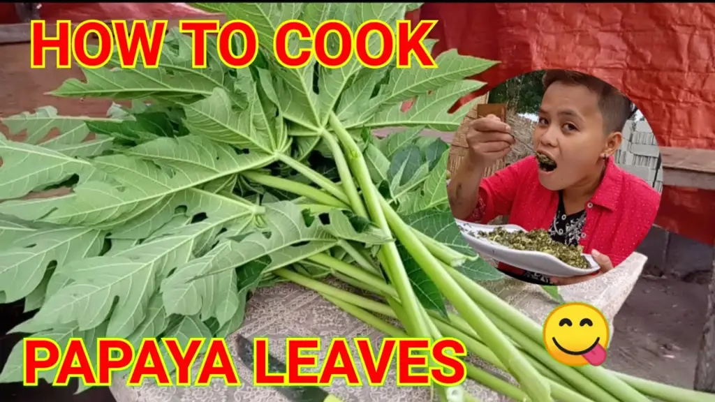 cara masak daun pepaya supaya tidak pahit