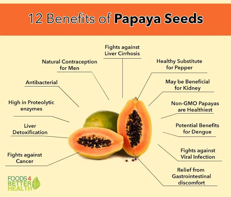 Infografis mengenai manfaat kesehatan daun pepaya