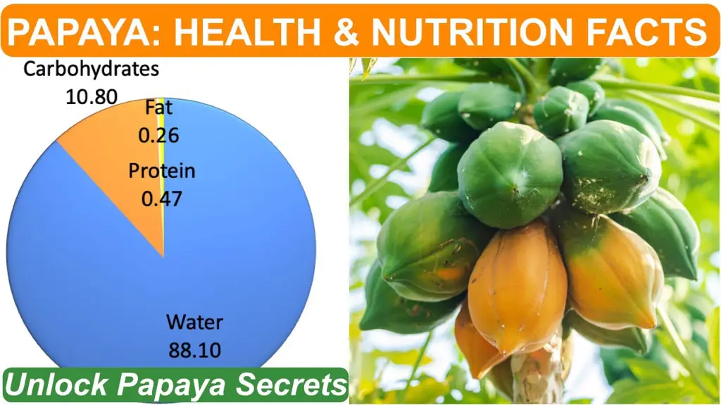 Kandungan nutrisi biji pepaya