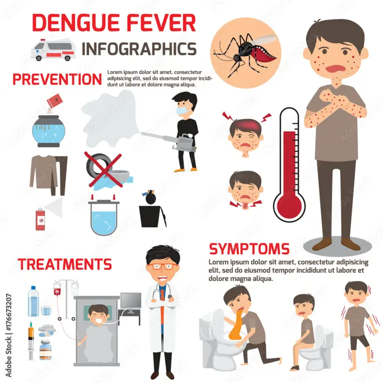 Infografis tentang pencegahan demam berdarah