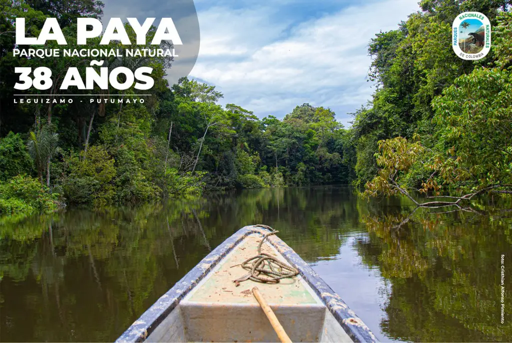 Keanekaragaman flora dan fauna di Paya Seunara