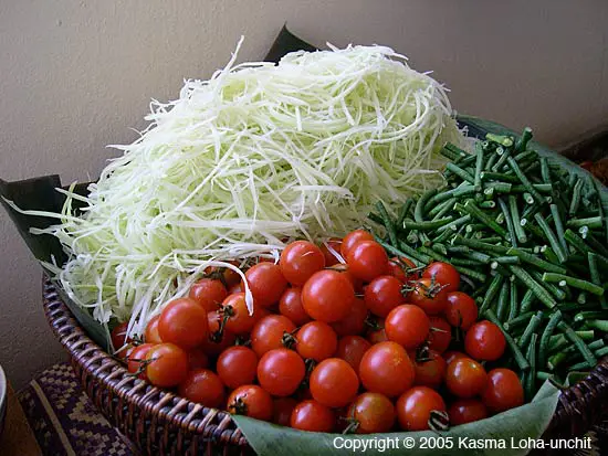 Aneka Masakan Pepaya Muda