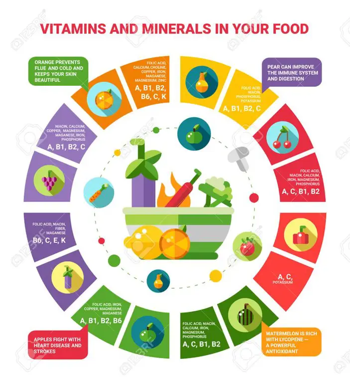 Infografis makanan sehat untuk kehamilan