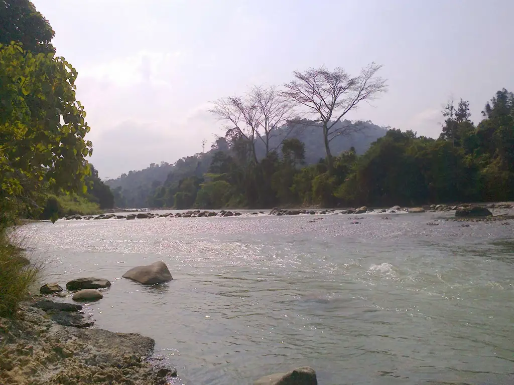 Peta Lokasi Paya Bakong