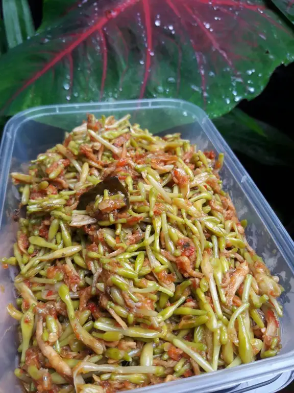 menu bunga pepaya