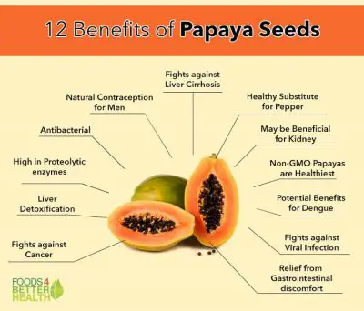 Infografis nutrisi pepaya