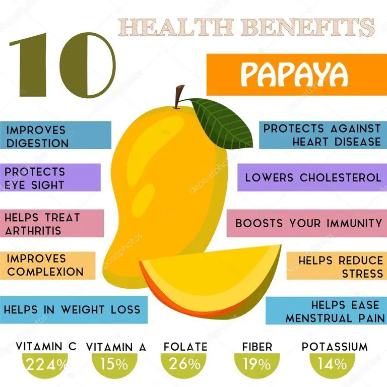 Infografis manfaat daun pepaya