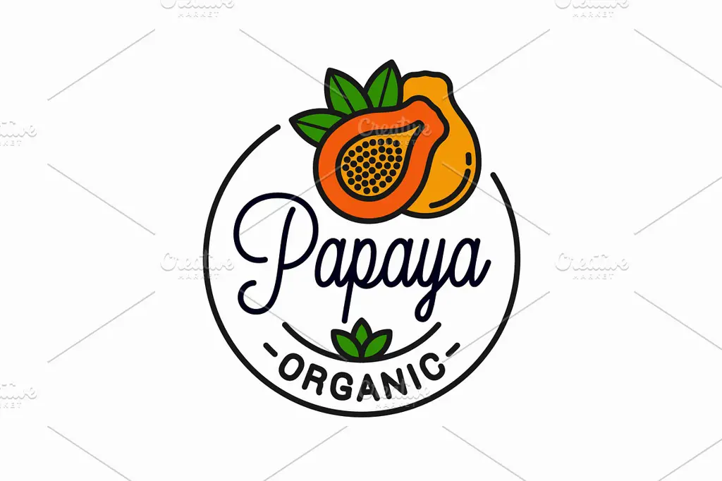 Contoh logo keripik pepaya dengan gaya gambar tangan yang unik