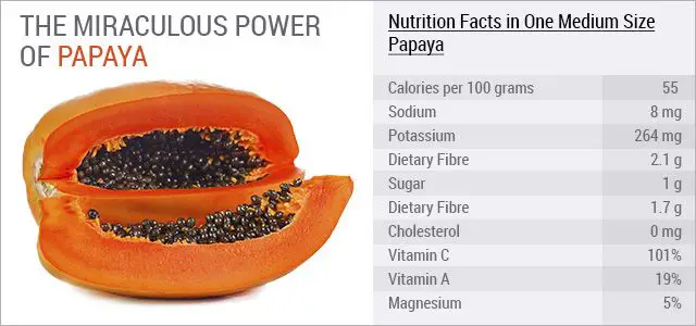 Infografis nutrisi pepaya