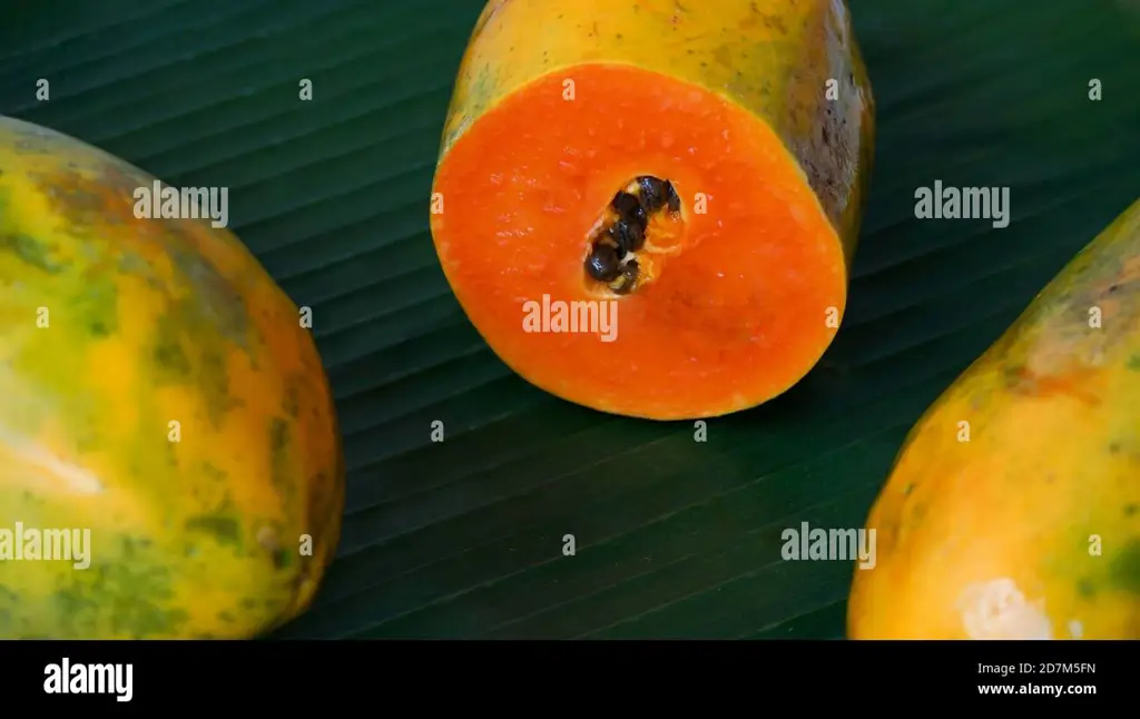 Gambar close up buah pepaya yang segar