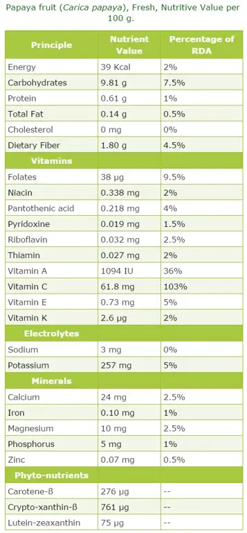 Gambar yang menunjukkan kandungan nutrisi daun pepaya