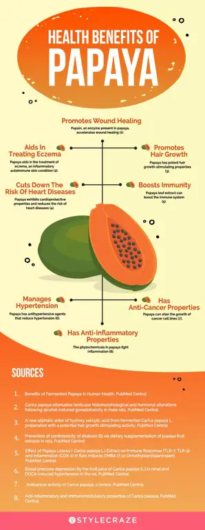 Infografis buah dan pohon pepaya untuk anak-anak