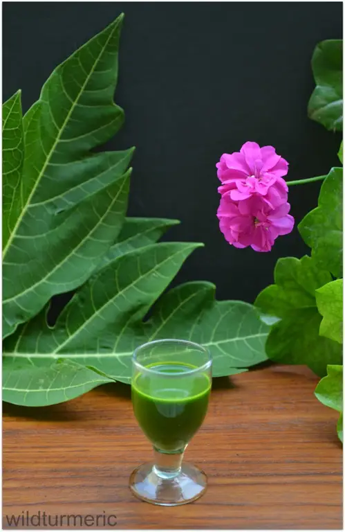 Gambar resep jus daun pepaya