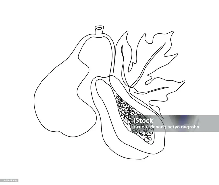 cara menggambar pohon pepaya