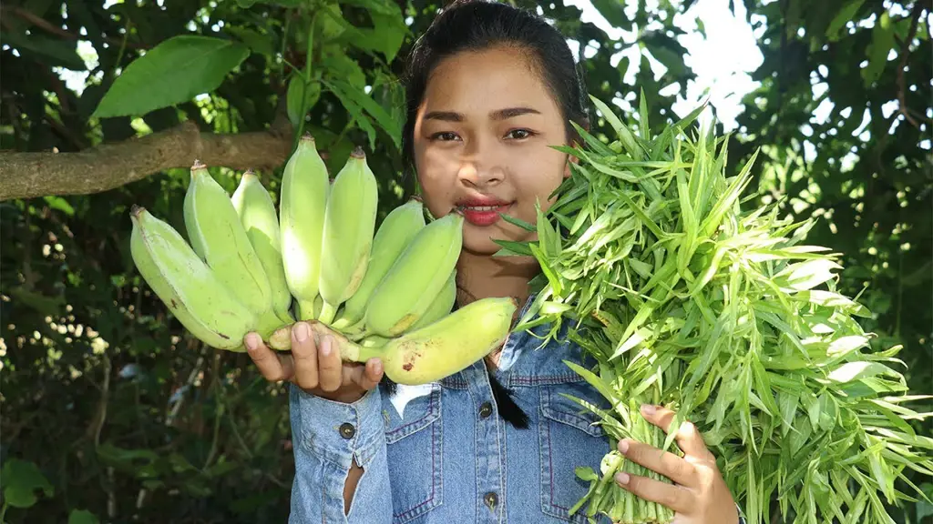 memasak bunga pepaya agar tidak pahit