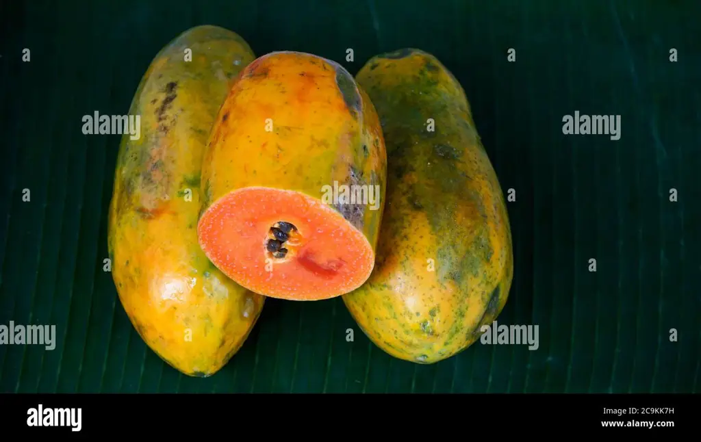 Gambar close up buah pepaya yang sudah matang dengan warna kuning kejinggaan