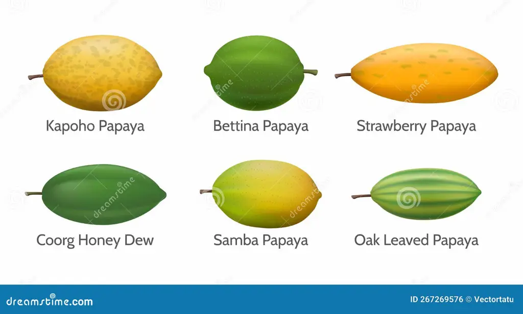 varietas pepaya unggul