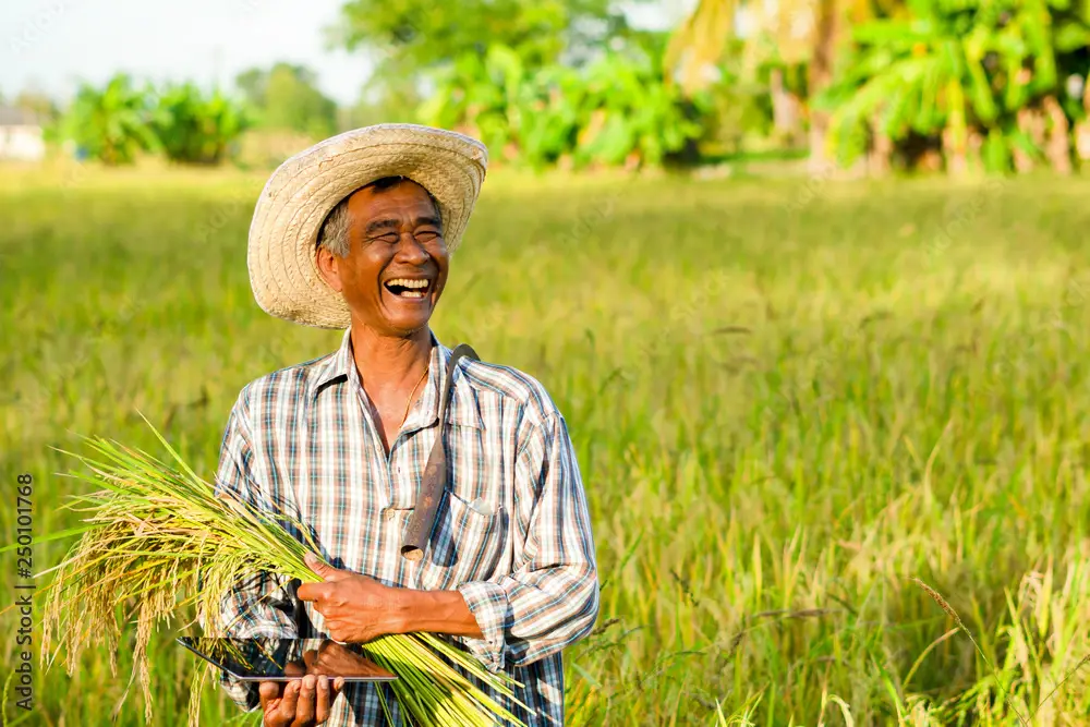 Petani pepaya yang tersenyum bahagia