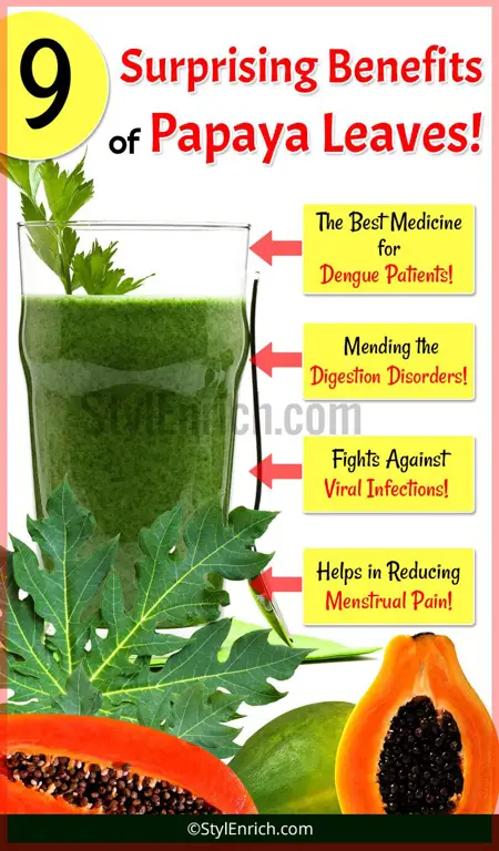 Infografis manfaat daun pepaya