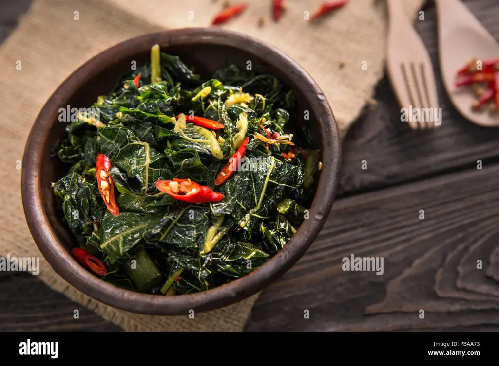 Berbagai macam hidangan sayur pepaya khas Indonesia